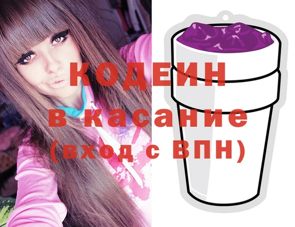 индика Михайлов