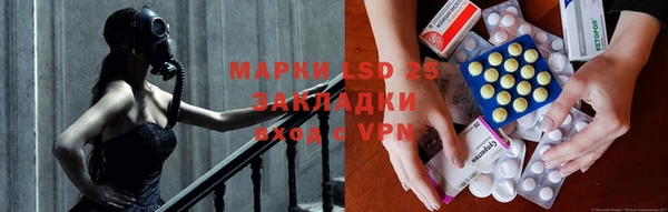 индика Михайлов