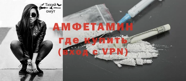 индика Михайлов