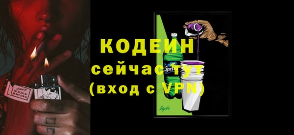 индика Михайлов