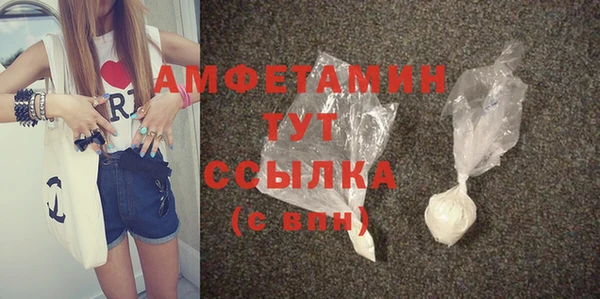 индика Михайлов