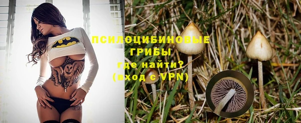 индика Михайлов
