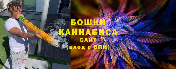 индика Михайлов