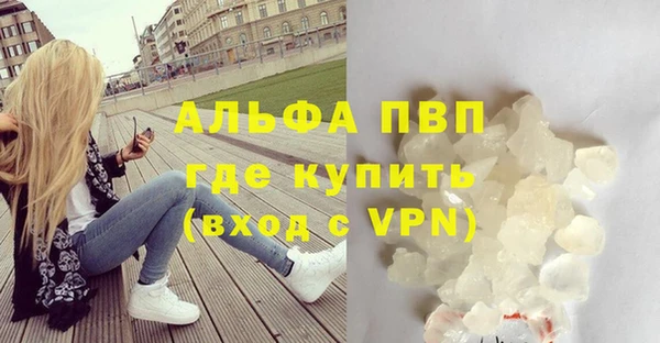индика Михайлов