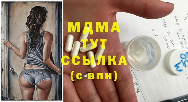 индика Михайлов