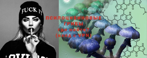 винт Михайловск