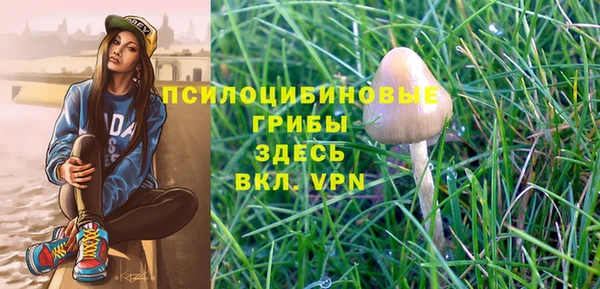 индика Михайлов