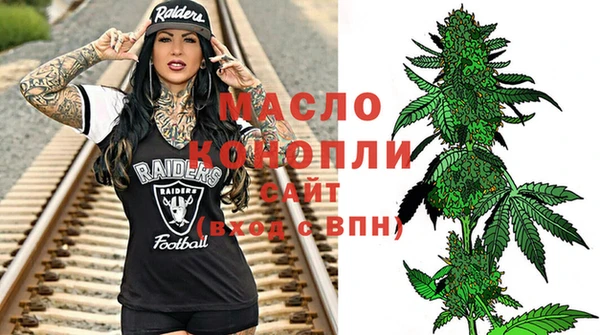 индика Михайлов